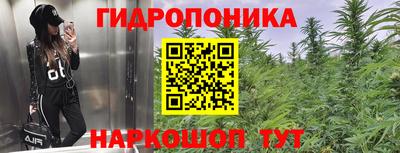дурь Гусь-Хрустальный
