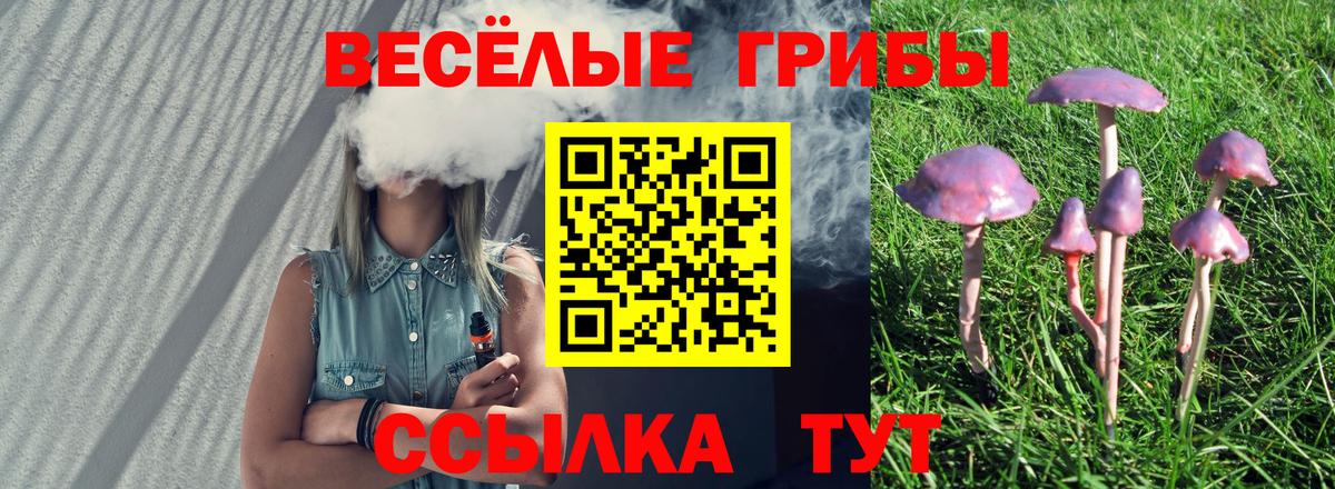 Галлюциногенные грибы GOLDEN TEACHER Нерюнгри