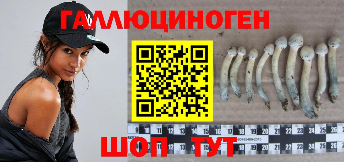 Галлюциногенные грибы мухоморы  Галлюциногенные грибы Psilocybe  Нерюнгри  Вход с VPN 