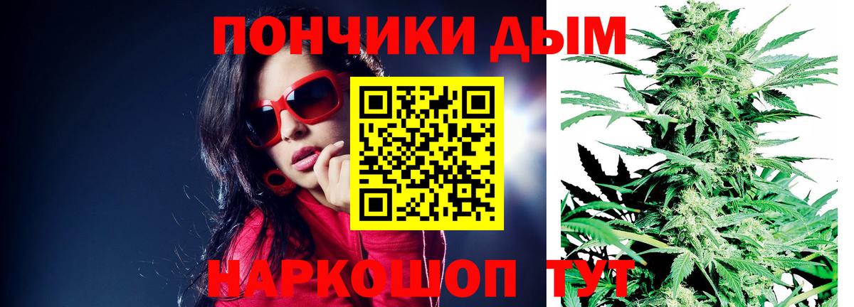 Конопля конопля  Вход с VPN  Конопля гибрид  Нерюнгри  Канабис ГИДРОПОН 